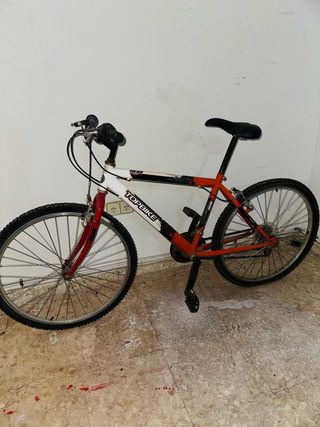 Bicicleta Topbike Montaña