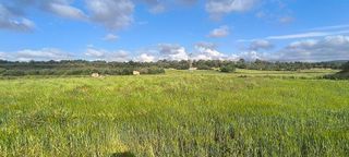 Terreno en venta en Muro