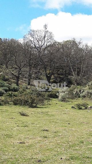 Terreno en venta en Valencia de Alcántara