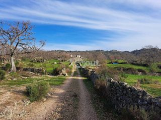 Terreno en venta en Valencia de Alcántara