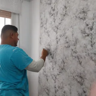 Servicios de Pintura y Decoración