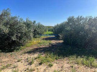 Terreno en venta en La Hacienda - Nueva Andalucía en Dos Hermanas