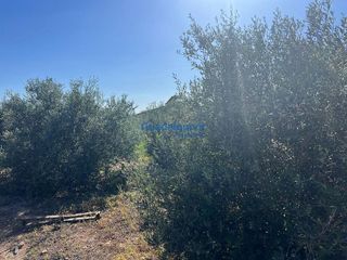 Terreno en venta en La Hacienda - Nueva Andalucía en Dos Hermanas