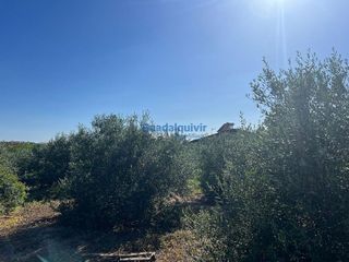 Terreno en venta en La Hacienda - Nueva Andalucía en Dos Hermanas