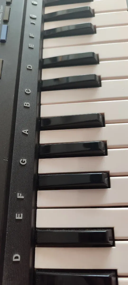 Teclado Yamaha PortaSound PSS-570