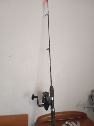 Caña de pescar con carrete