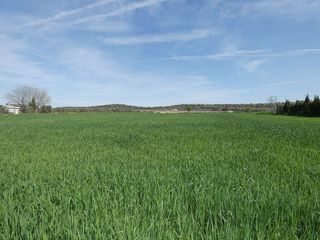 Terreno en venta en Almagro