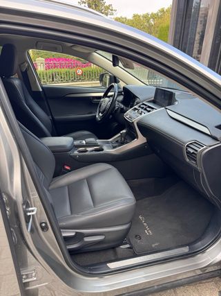 Lexus NX 2021