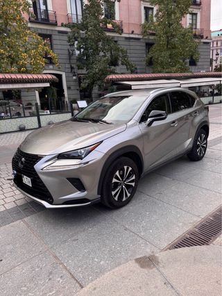 Lexus NX 2021