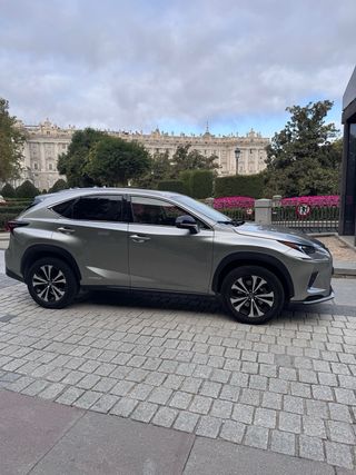 Lexus NX 2021