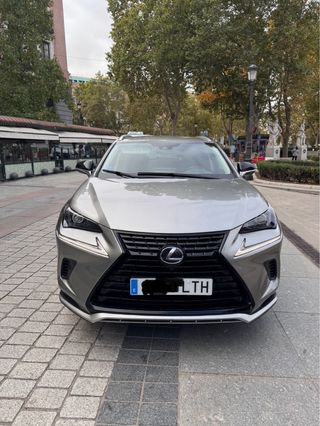 Lexus NX 2021