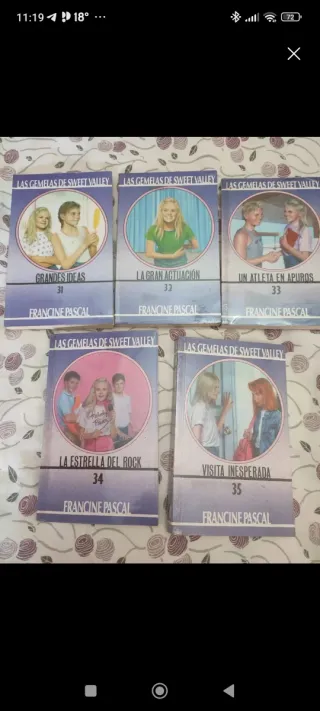 Libros Las Gemelas de Sweet Valley lote