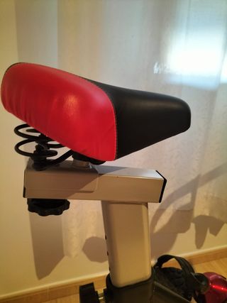 Bicicleta Spinning RISCKO Casi Nueva