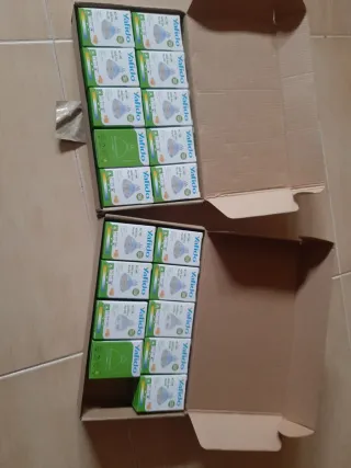 Bombillas Halógenas Ojos de Buey (19 unidades)