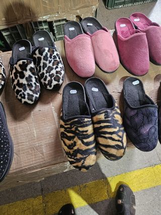 Lote Zapatillas de Casa