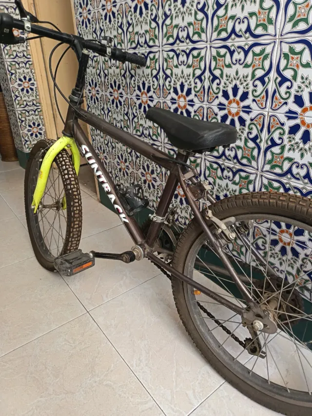 Bicicleta SUNTRACK
