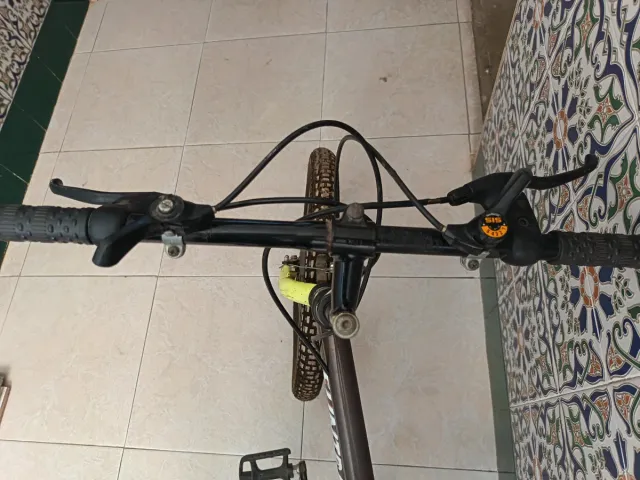Bicicleta SUNTRACK