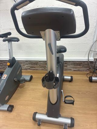 Bicicleta Estática Profesional BH Fitness