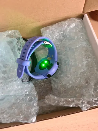Garmin Forerunner 45s