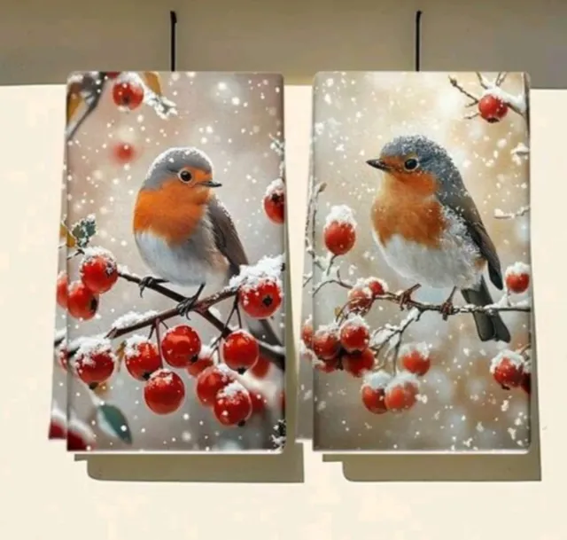 Coppia strofinacci pettirosso inverno