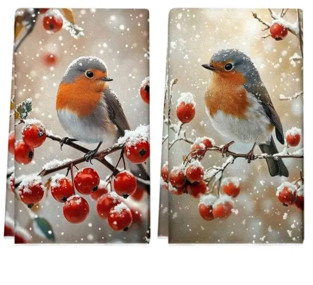 Coppia strofinacci pettirosso inverno