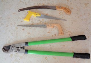 Podadora y 3 Sierras de Podar