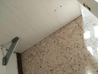 Última semana!!! Cama tren