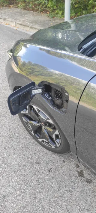 CUPRA Terramar 2025