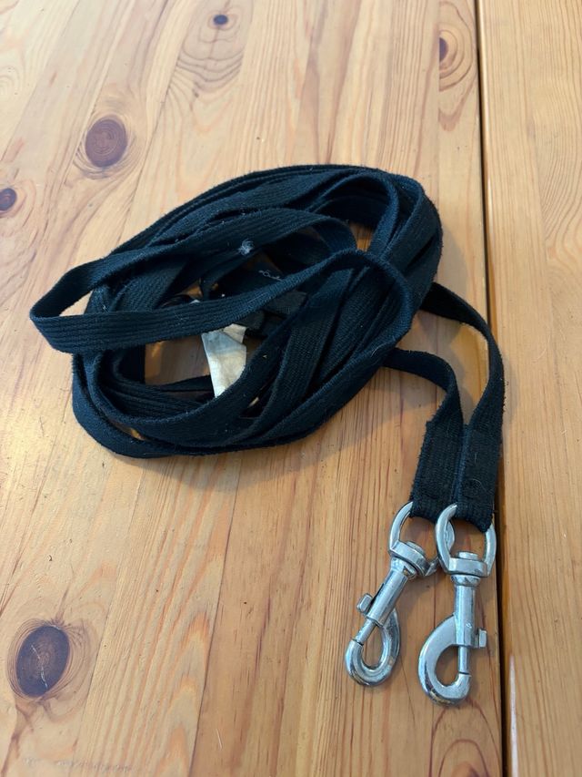 Riendas largas caballo con mosquetones