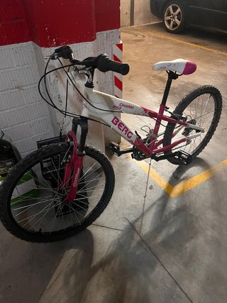 Bicicleta de montaña Berg Charm 243