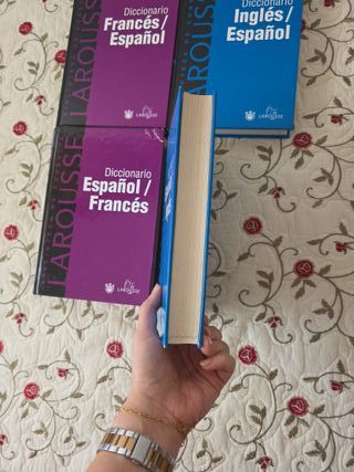 DICCIONARIOS FRANCÉS E INGLÉS