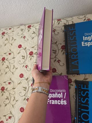 DICCIONARIOS FRANCÉS E INGLÉS