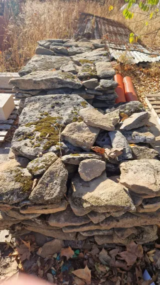 Piedras de musgo para decoración.