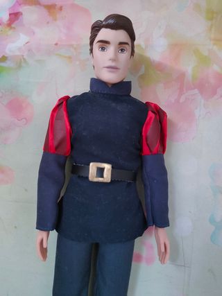 Lote Príncipes Disney