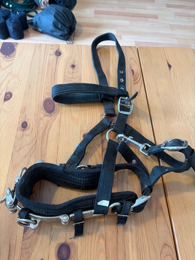 Cabezada dar cuerda caballo talla full