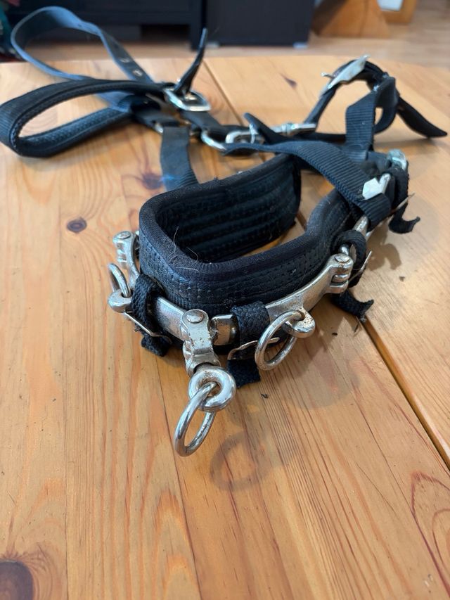 Cabezada dar cuerda caballo talla full