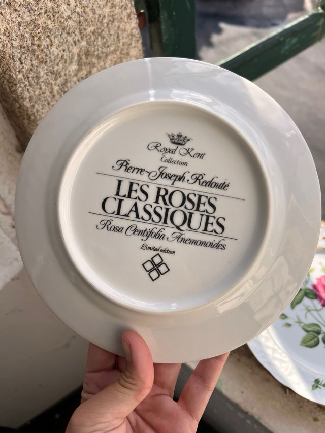 Colección 12 platos porcelana