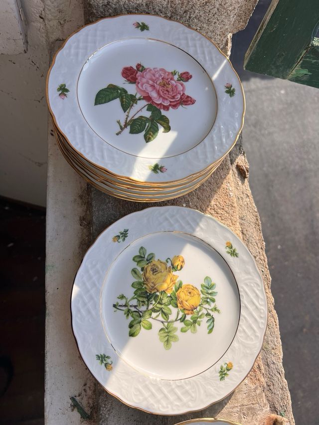 Colección 12 platos porcelana