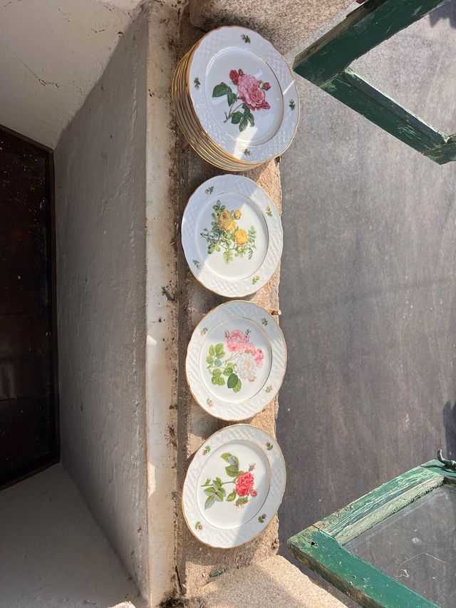 Colección 12 platos porcelana