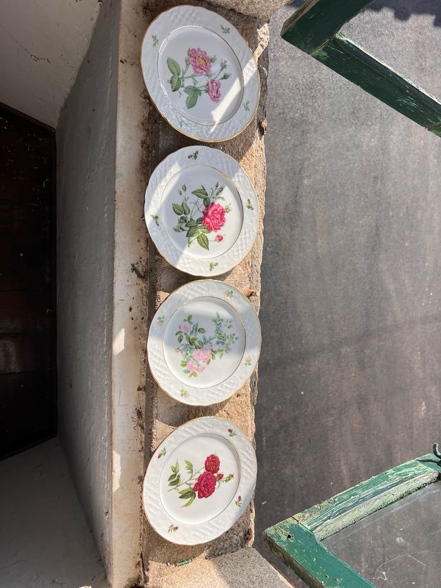 Colección 12 platos porcelana