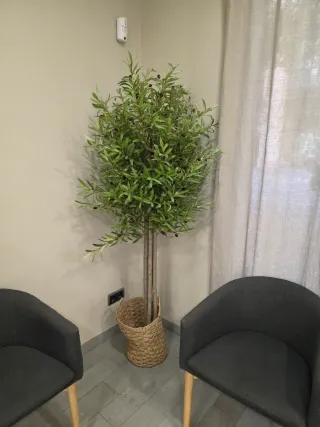 Olivo artificial 1.80
Tronco madera