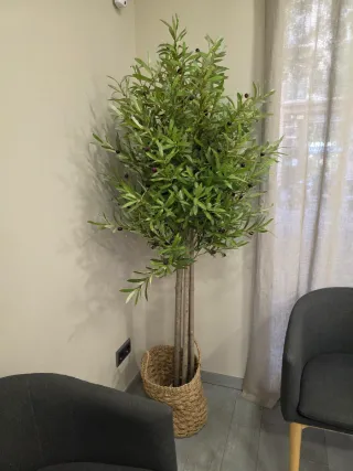 Olivo artificial 1.80
Tronco madera