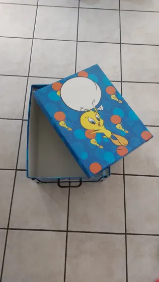 Scatola di cartone con disegno Tweety