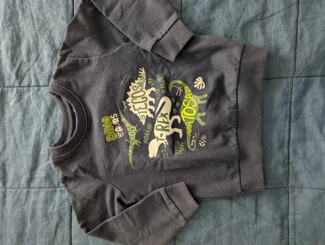 Sudadera infantil dinosaurios 2-3 años (98-104cm)