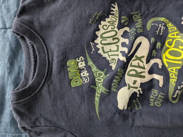 Sudadera infantil dinosaurios 2-3 años (98-104cm)