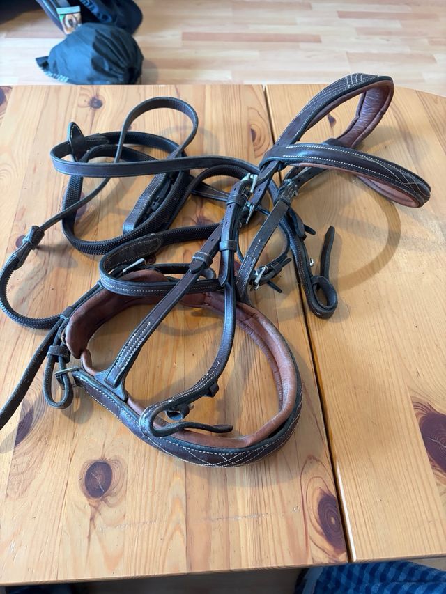 Cabezada Brida Marrón Caballo