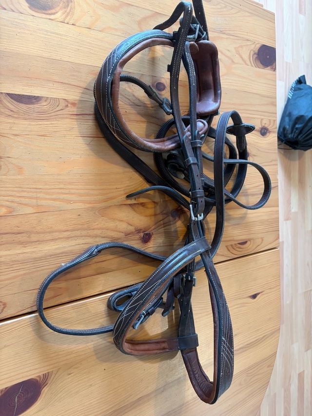 Cabezada Brida Marrón Caballo