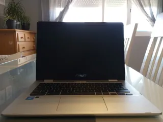 Portátil Asus Plata y Negro