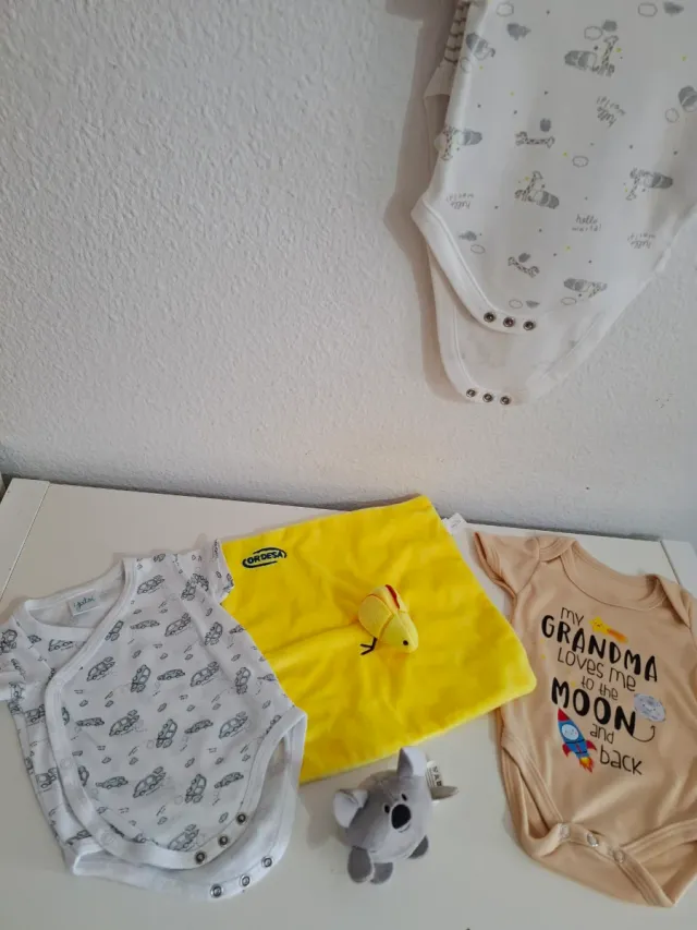 Lote bodies bebé 0-6