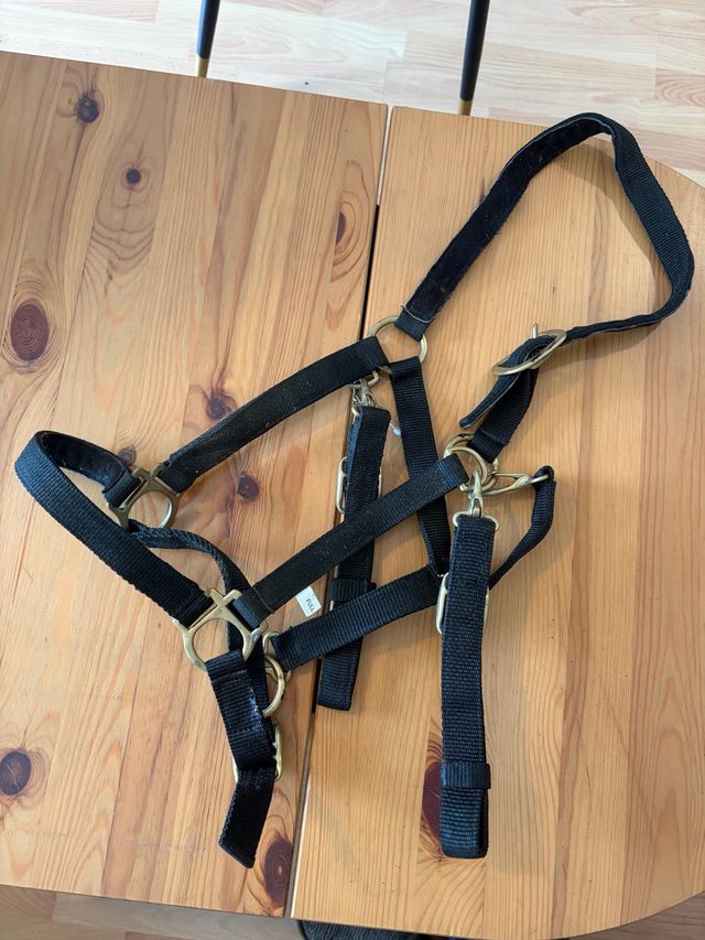 Cabezada de cuadra para caballo